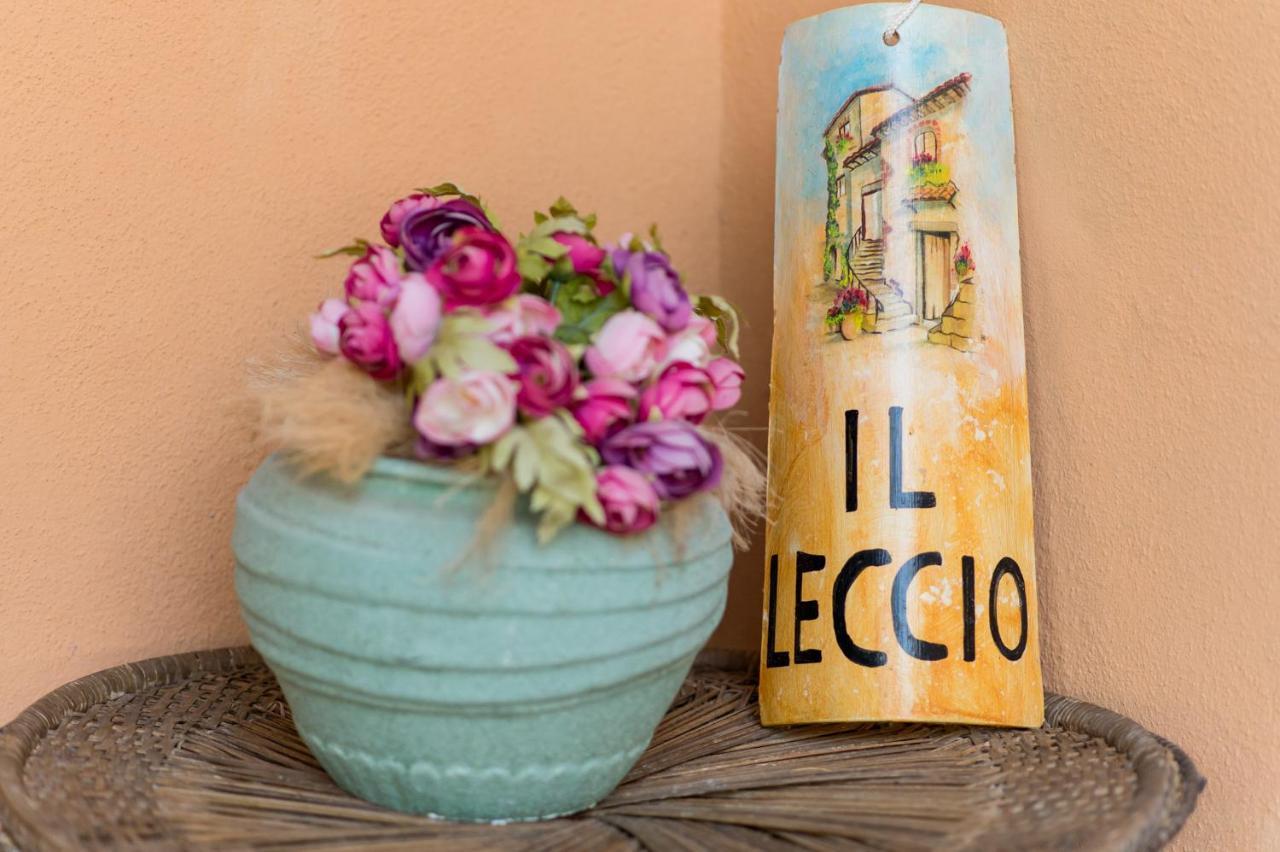 Il Leccio - casa toscana il fienile Gambassi Terme Esterno foto